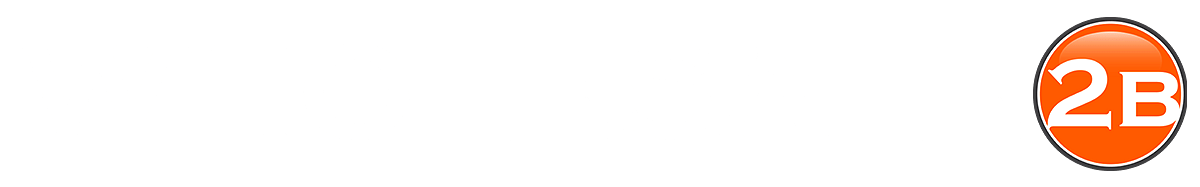 Wholesale2B logo